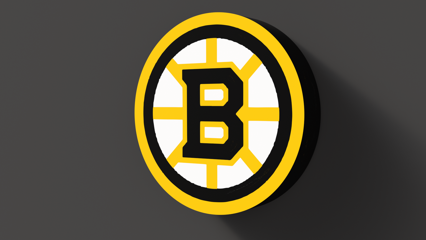 Boston Bruins